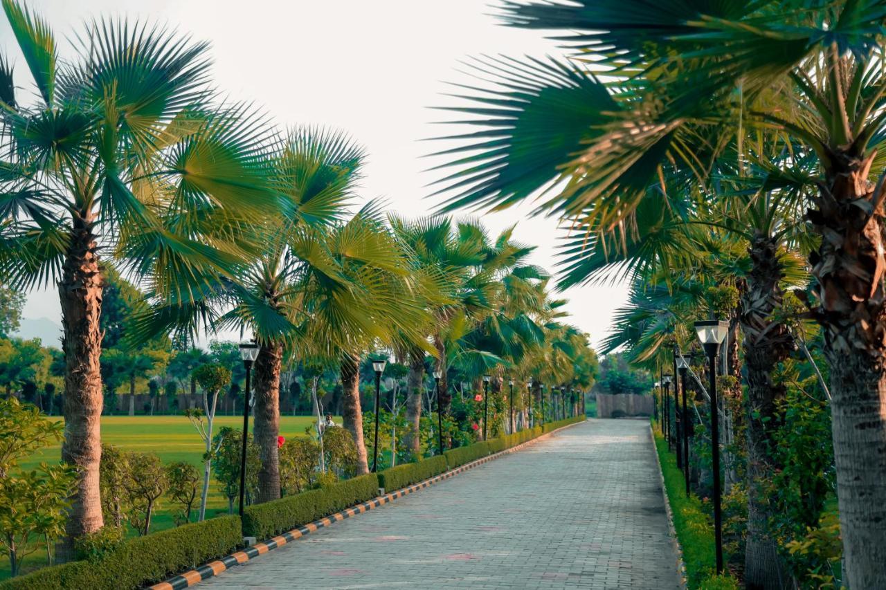 Pride Resort & Convention Center Ranakpur Near Ranakpur Dam Sadri Экстерьер фото